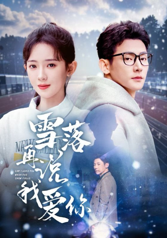 雪落再说我爱你