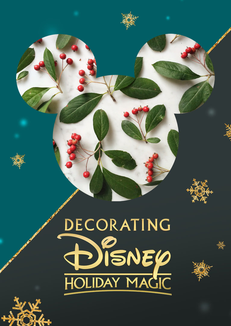 奇妙迪士尼：魔法圣诞