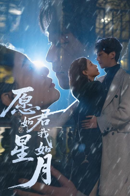 愿君如星我如月