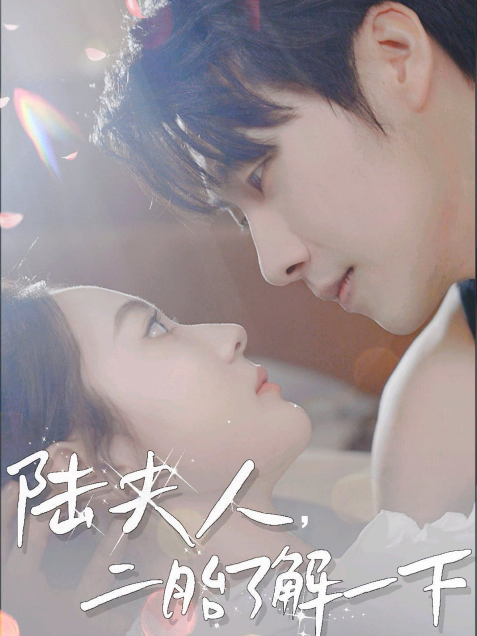 陆夫人，二胎了解一下