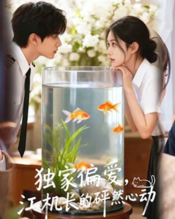 独家偏爱，江机长的砰然心动&恋心月下